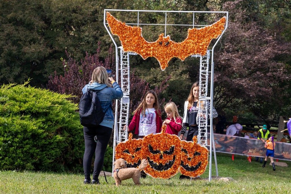 Foto di famiglia sotto i pipistrelli e le zucche